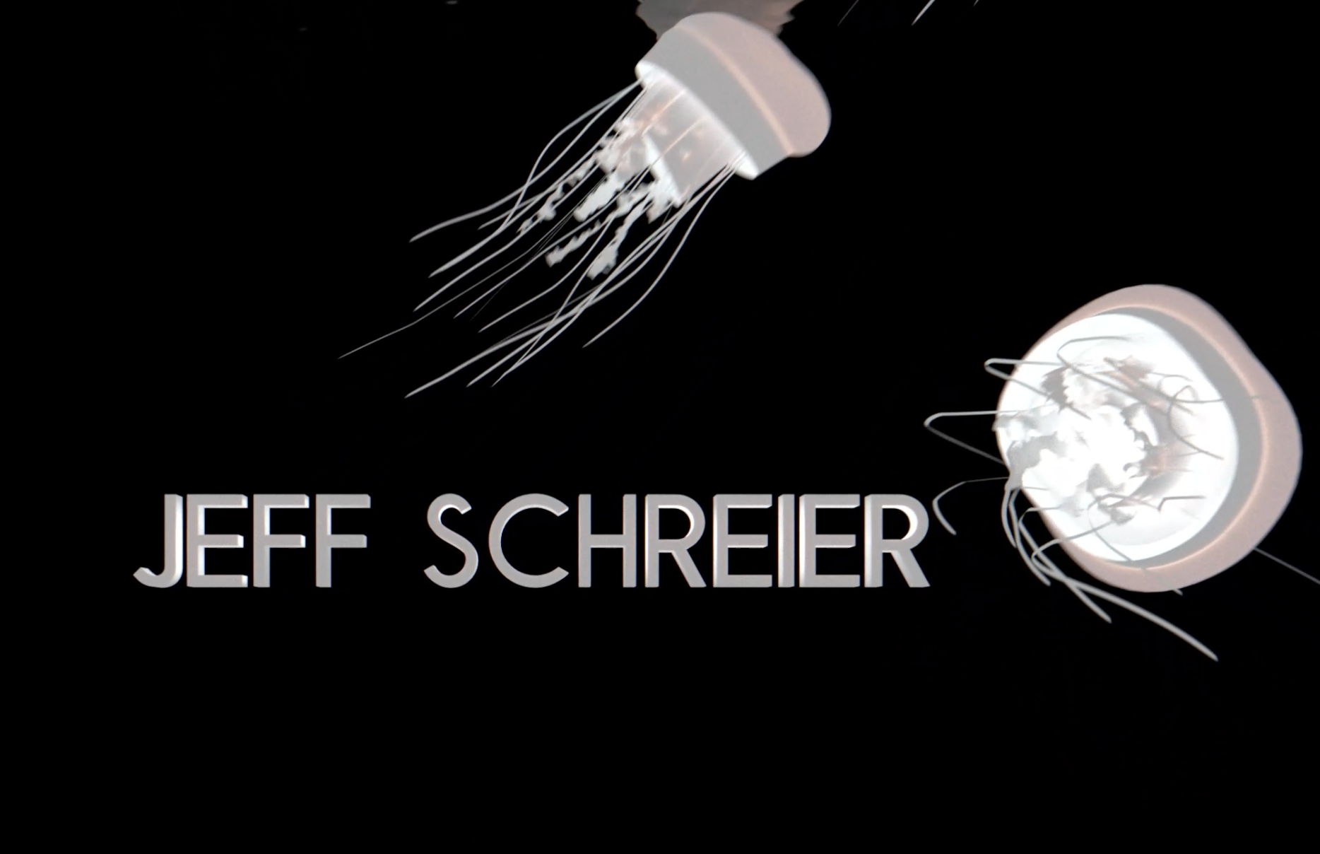 Jeff Schreier Cutting Edge Designs